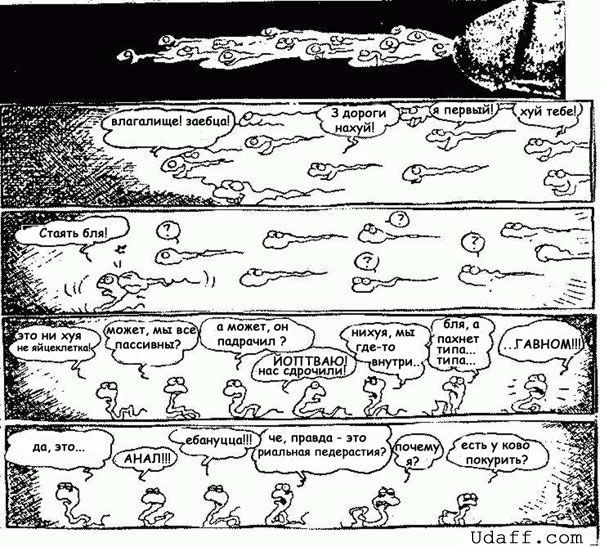 [�� �������]